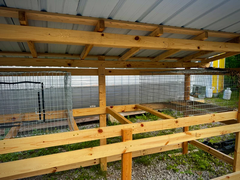 What a Rabbit Hutch Taught Me About Using AI for Design